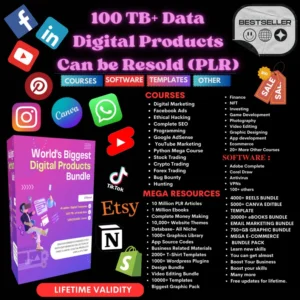 PLR Digital Products Bundle to Sell Online. Digital Downloads for Reselling or Personal Use. 100TB Data to Sell on Shopify.
