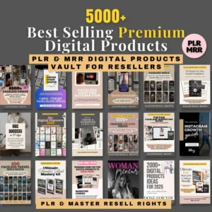 PLR Digital Products PLR Course Make Money Online Dfy MRR Digital Products Done For You Courses Ready to Sell Plr Mrr Bundle Resell Rights